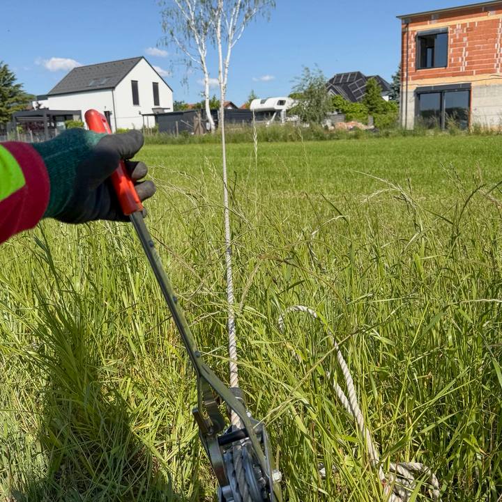 Na Miklavžu na Dravskem polju sem poleg novo zgrajene hiše brez fasade posekal 12-metrsko dvodebelno navadno brezo (Betula pendula). Lastnik se je odločil za rušenje drevesa, ker je močno zamiralo, čeprav so iz njega …