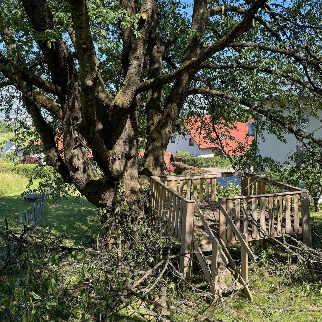 V Limbušu pri Mariboru sem uredil krošnje več drevesom ob vikend hišici. Najprej