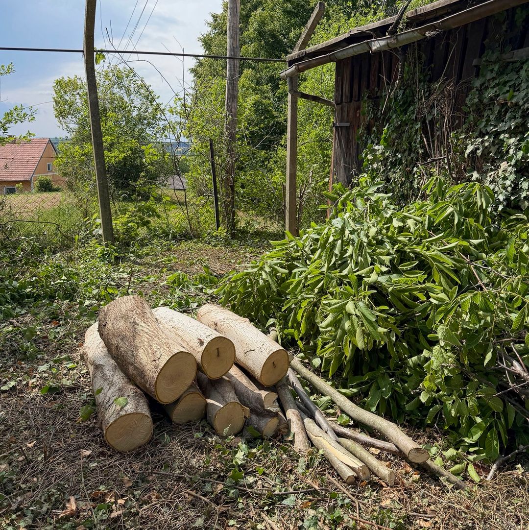 Dalj časa zapuščena parcela v okolici Blaguškega jezera je dobila novega lastnik